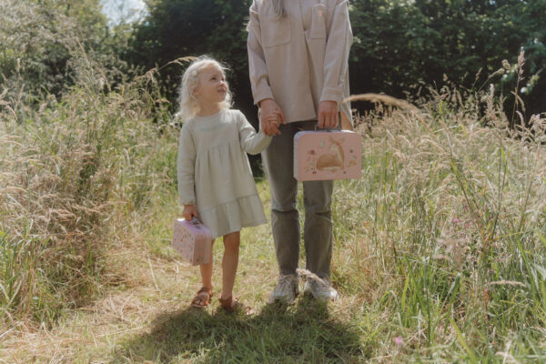 Suitcases Fairy Garden FSC